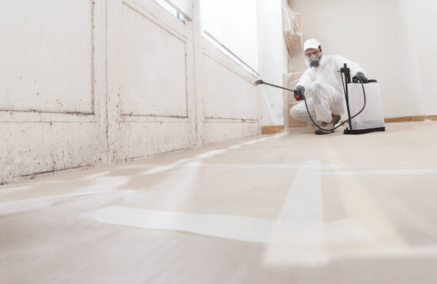 24/7 Emergency Bathroom Mold Removal experts in Silverdale, WA